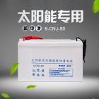 [新品] 免维护铅酸蓄电池(12V80Ah)