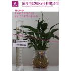 [新品] 100号化妆级白油(100#)图2