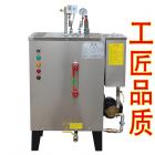 电加热蒸汽发生器锅炉(LDZ(K)0.032-0.7-24KW)