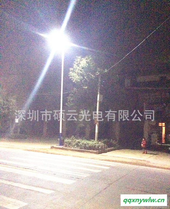 SAR-L60新款**太阳能灯 太阳能路灯 景观灯工厂直销 可OEM 一件