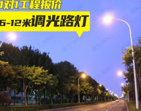 厂家批发6米8米LED路灯 50W市电工程公路马路户外挑臂照明道路灯