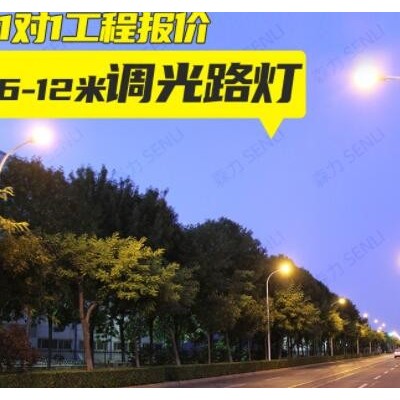 厂家批发6米8米LED路灯 50W市电工程公路马路户外挑臂照明道路灯